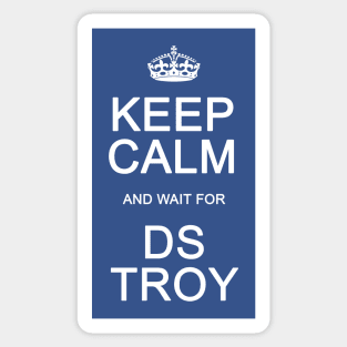 DS Troy Sticker